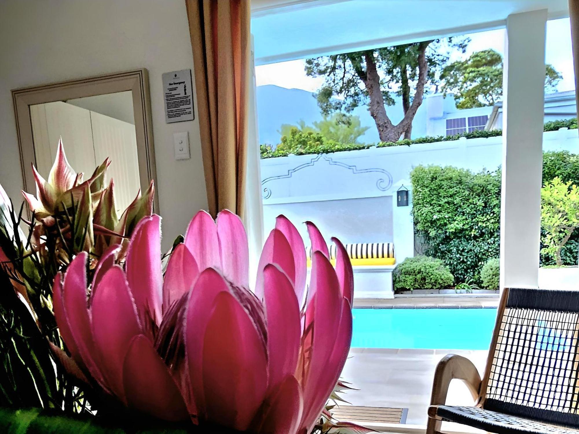 Fleur Du Soleil Luxury Guesthouse Franschhoek Exteriör bild